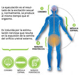POXET 60 mg – Dapoxetina Genérica para Eyaculación Precoz